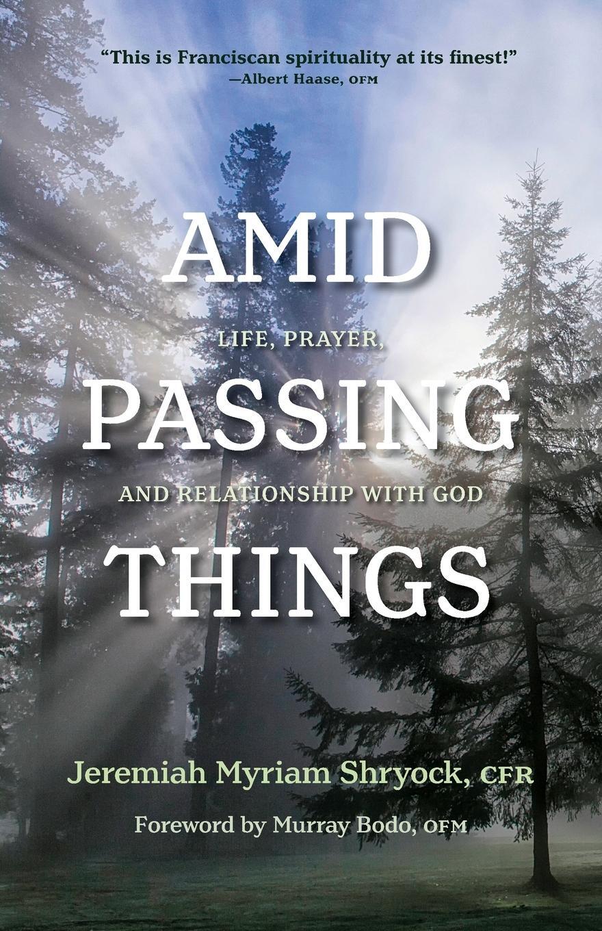 Cover: 9781640602205 | Amid Passing Things | Life, Prayer, and Relationship with God | Buch