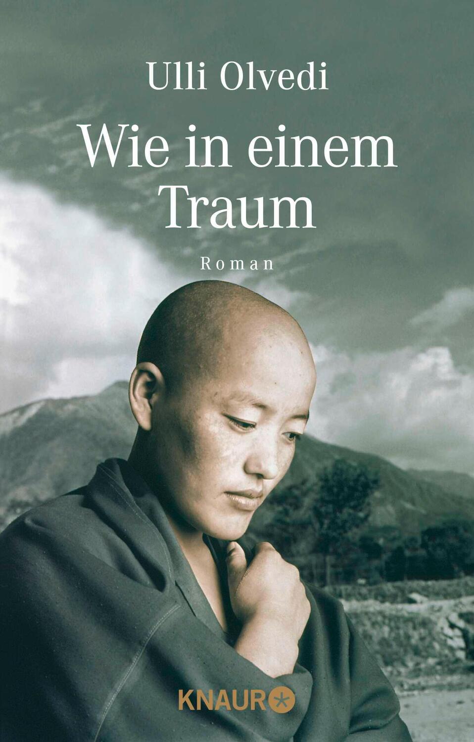 Cover: 9783426878163 | Wie in einem Traum | Roman | Ulli Olvedi | Taschenbuch | Paperback