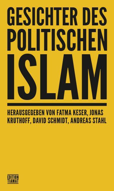 Cover: 9783893203093 | Gesichter des politischen Islam | Ulrike Becker (u. a.) | Taschenbuch
