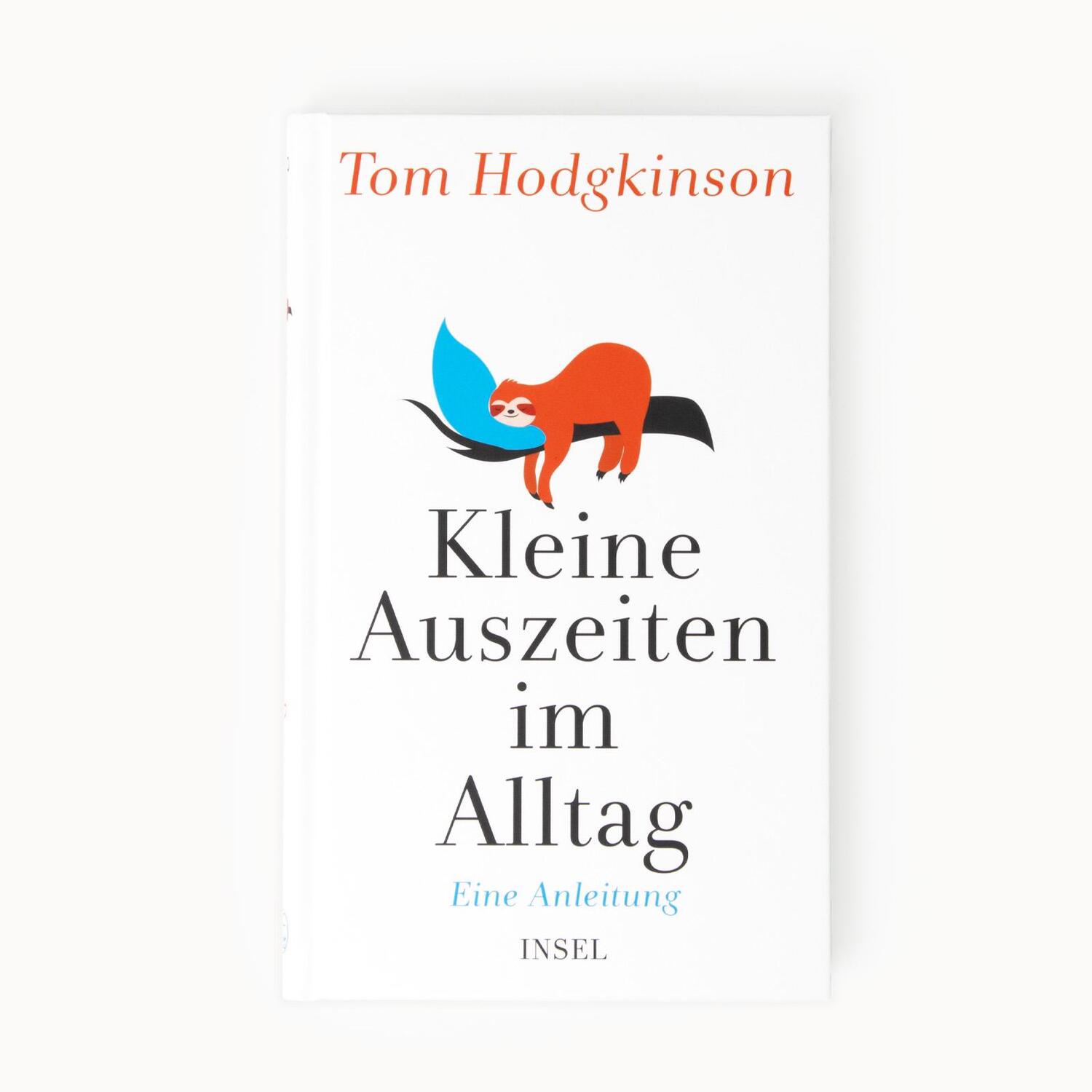 Bild: 9783458643685 | Kleine Auszeiten im Alltag | Tom Hodgkinson | Buch | 127 S. | Deutsch