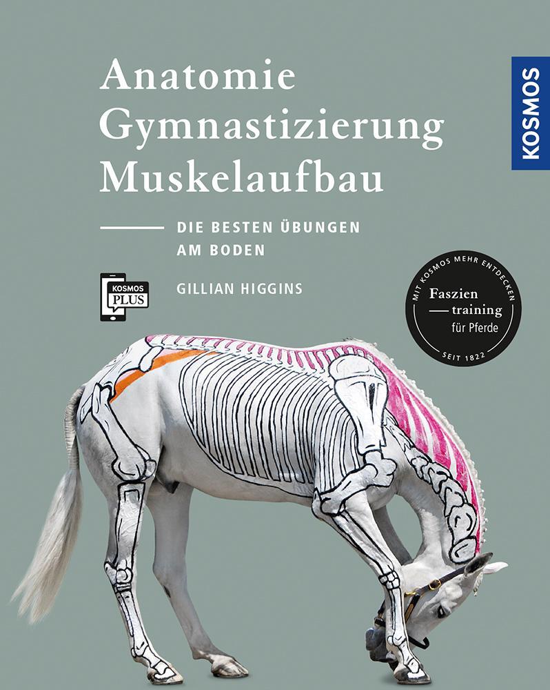 Cover: 9783440157442 | Anatomie, Gymnastizierung, Muskelaufbau | Gillian Higgins | Buch