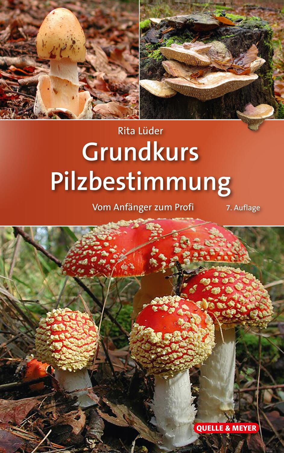 Cover: 9783494019338 | Grundkurs Pilzbestimmung | Vom Anfänger zum Profi | Rita Lüder | Buch