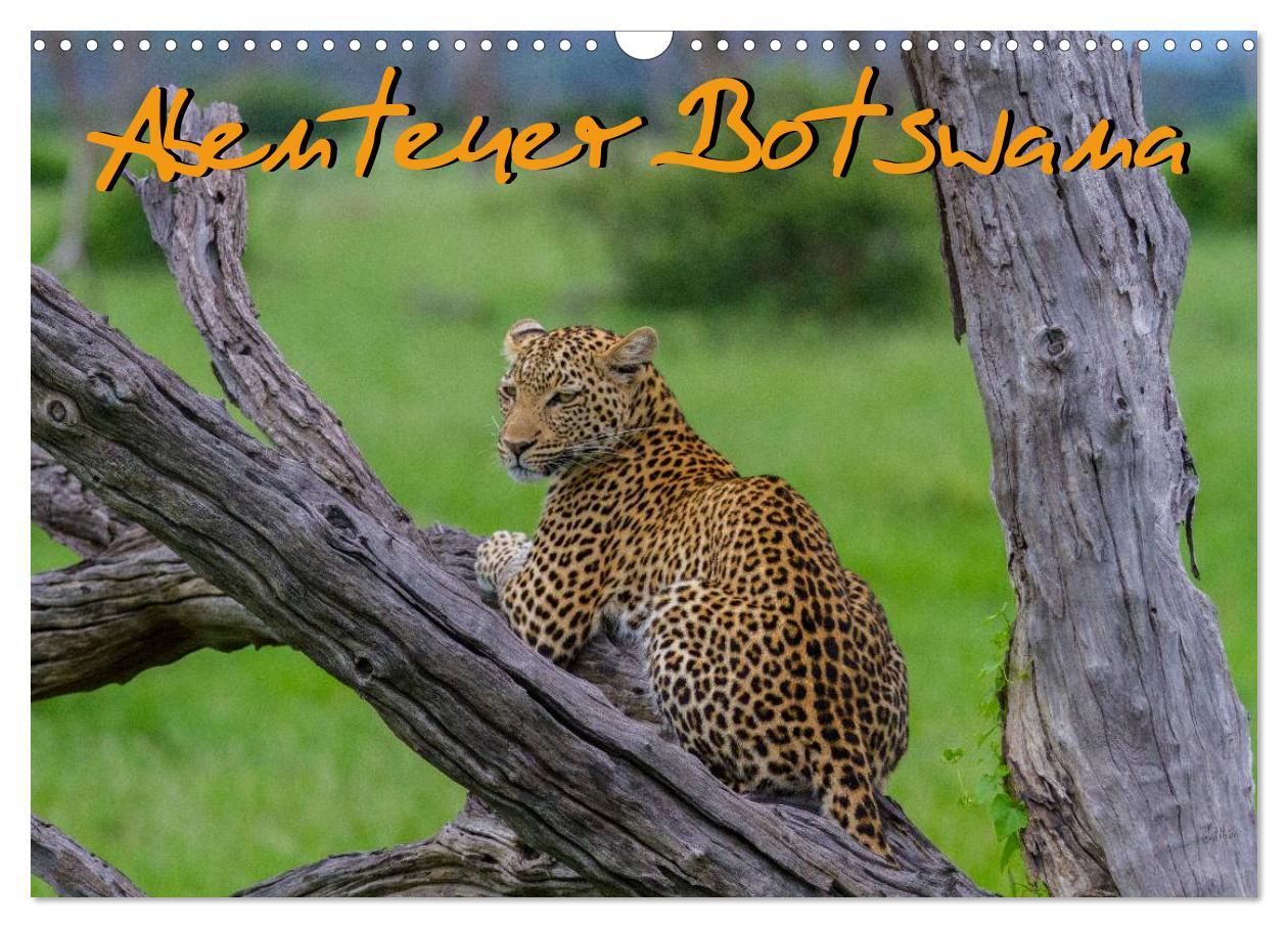 Cover: 9783435814923 | Abenteuer Botswana Afrika - Adventure Botswana (Wandkalender 2025...