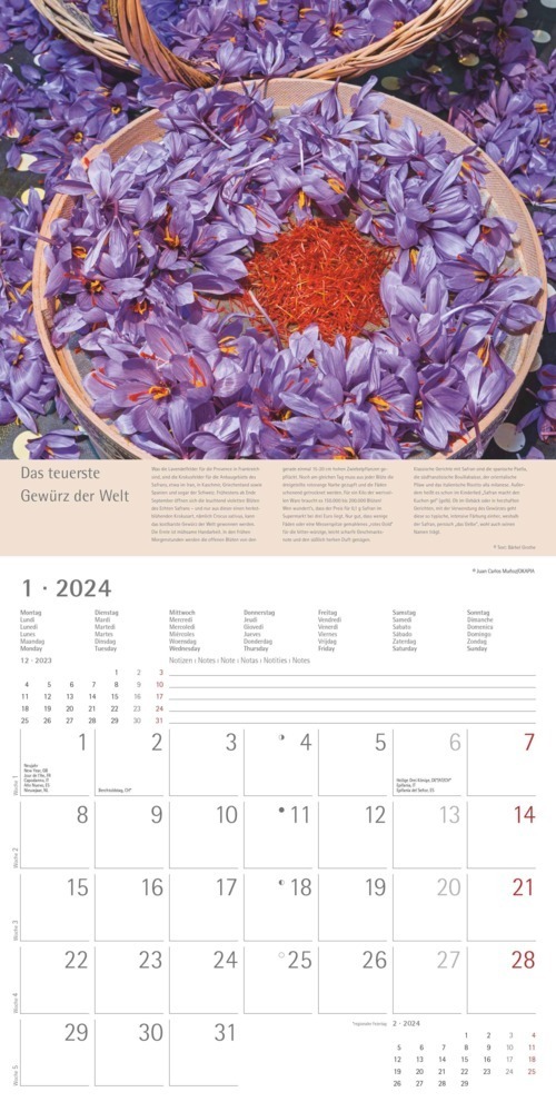 Bild: 4251732335564 | Kräuter &amp; Gewürze 2024 - Broschürenkalender 30x30 cm (30x60...