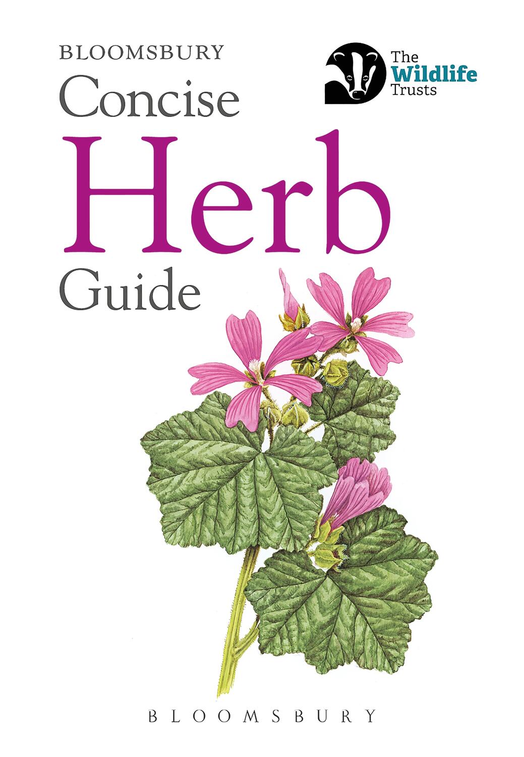 Cover: 9781472968272 | Concise Herb Guide | Bloomsbury | Taschenbuch | Concise Guides | 2019