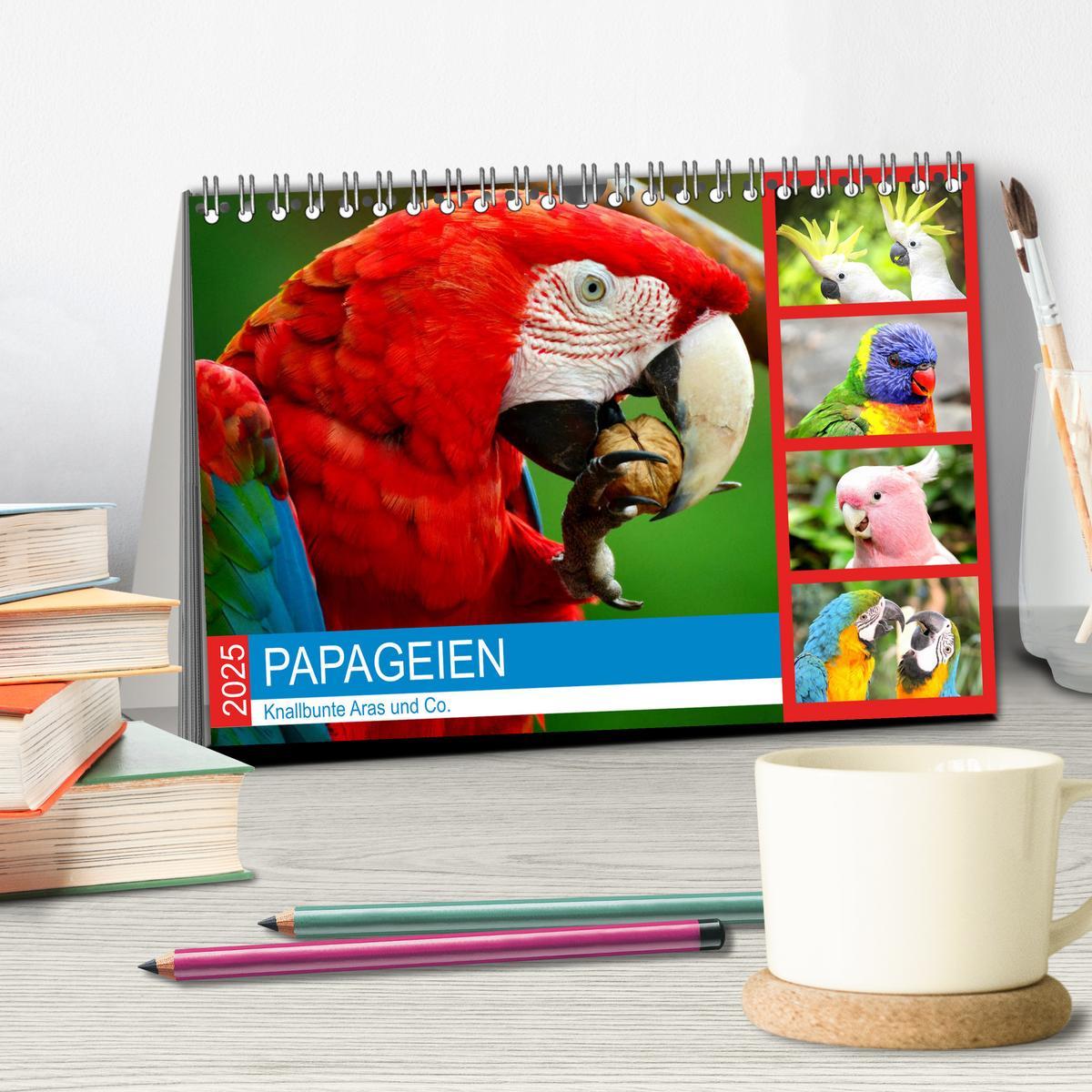 Bild: 9783435186556 | Papageien. Knallbunte Aras und Co. (Tischkalender 2025 DIN A5...