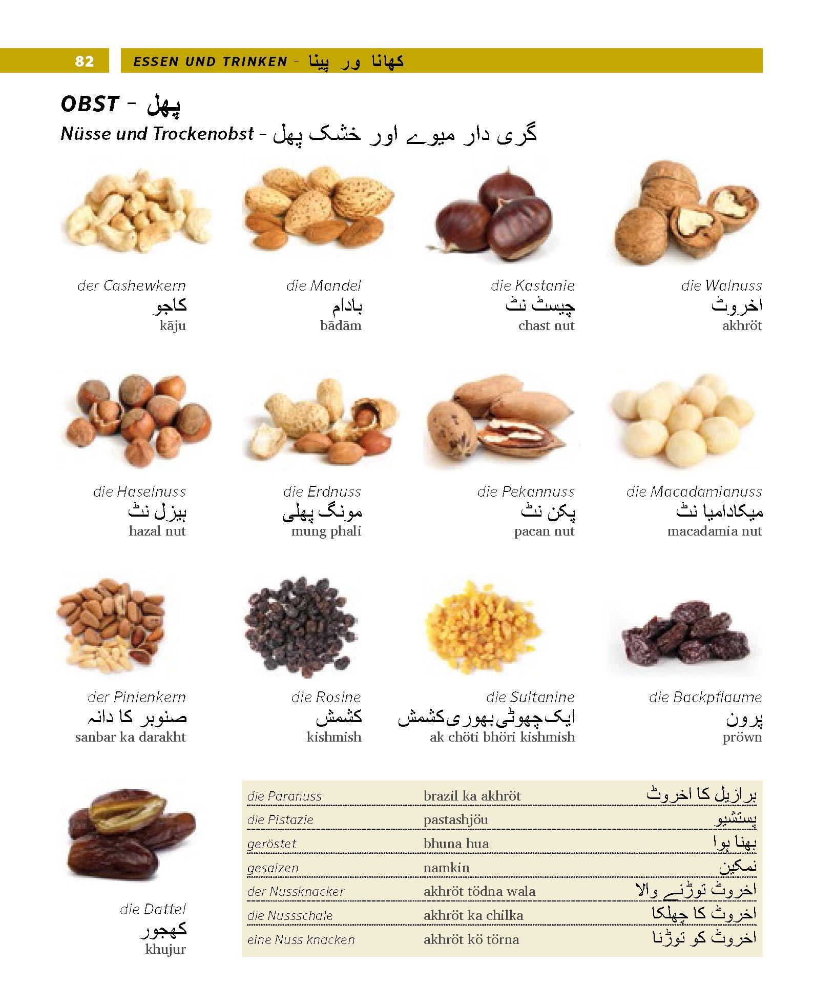 Bild: 9783125161573 | PONS Bildwörterbuch Urdu | Taschenbuch | PONS Bildwörterbuch | 448 S.