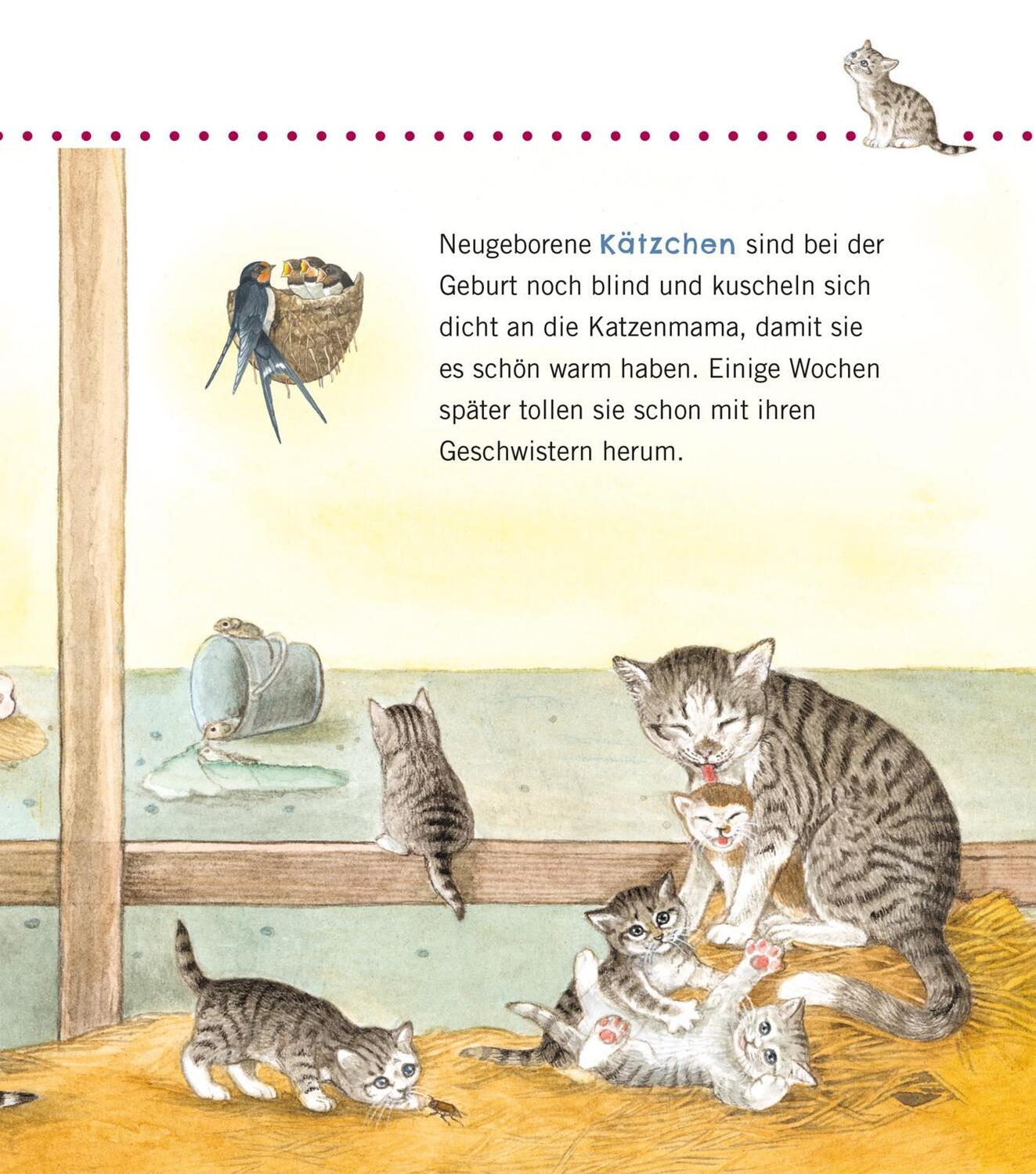 Bild: 9783551036056 | Unkaputtbar: Erstes Wissen: Tiere und ihre Kinder | Petra Klose | Buch