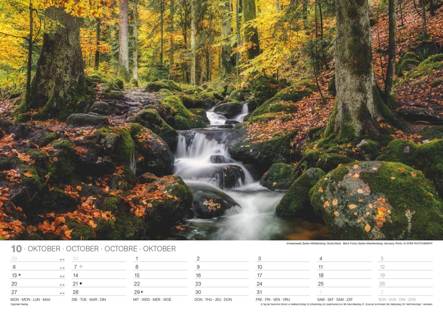 Bild: 4002725994271 | N NEUMANNVERLAGE - Malerische Wälder 2025 Wandkalender, 45x48cm,...