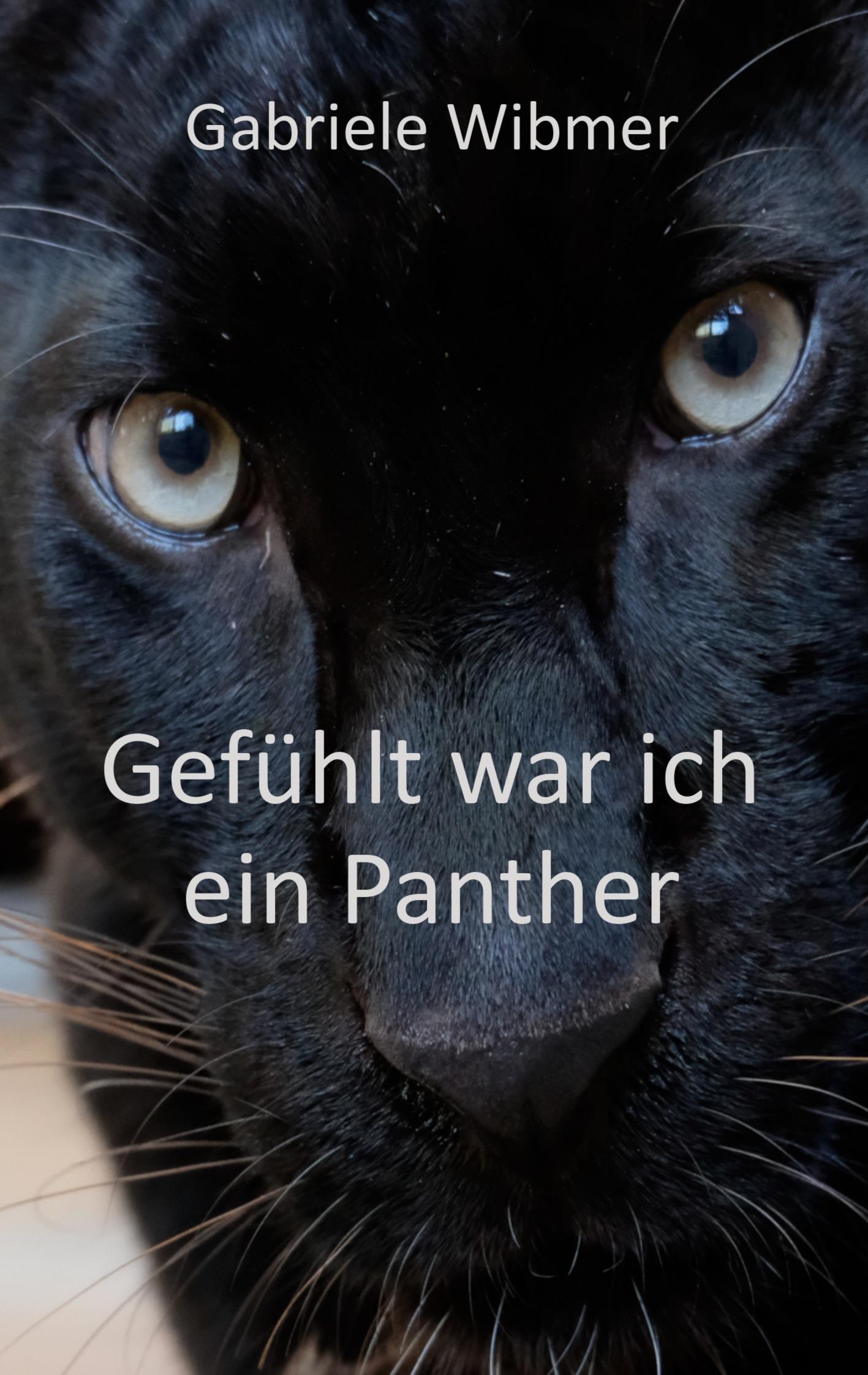 Cover: 9783750421394 | Gefühlt war ich ein Panther | Gabriele Wibmer | Taschenbuch | 128 S.