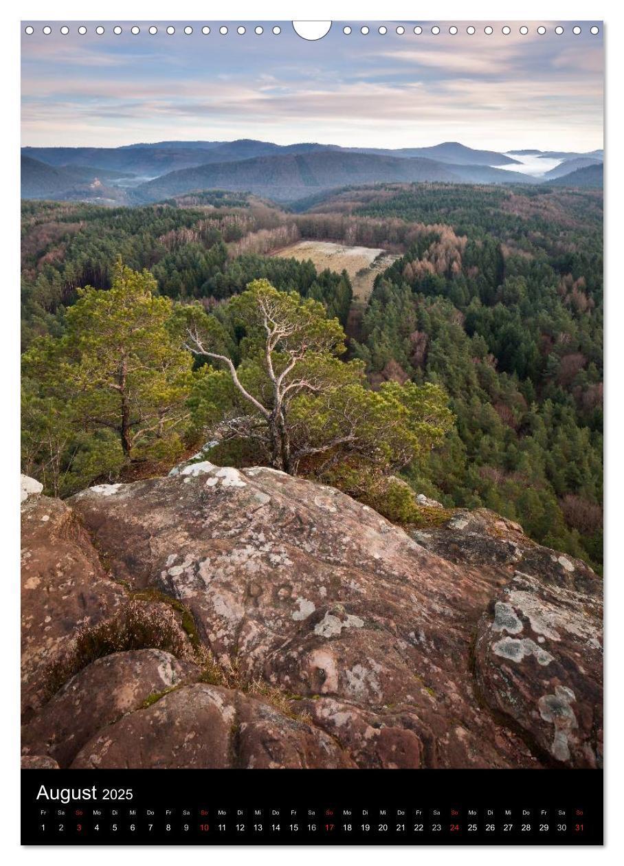 Bild: 9783457039168 | NATURWUNDER PFÄLZERWALD (Wandkalender 2025 DIN A3 hoch), CALVENDO...