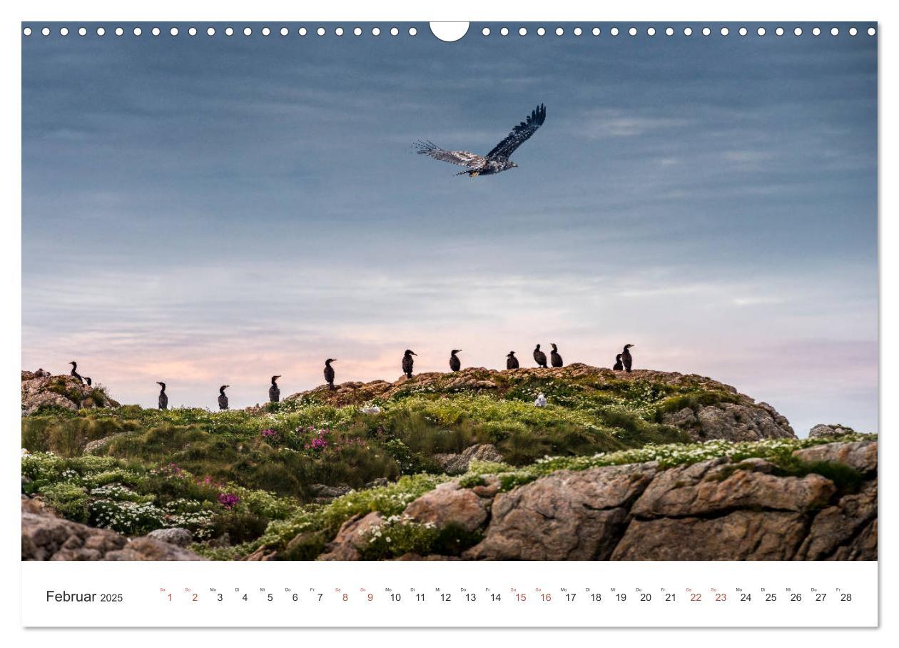 Bild: 9783435340071 | Nordland ¿ Die Weite Skandinaviens (Wandkalender 2025 DIN A3 quer),...