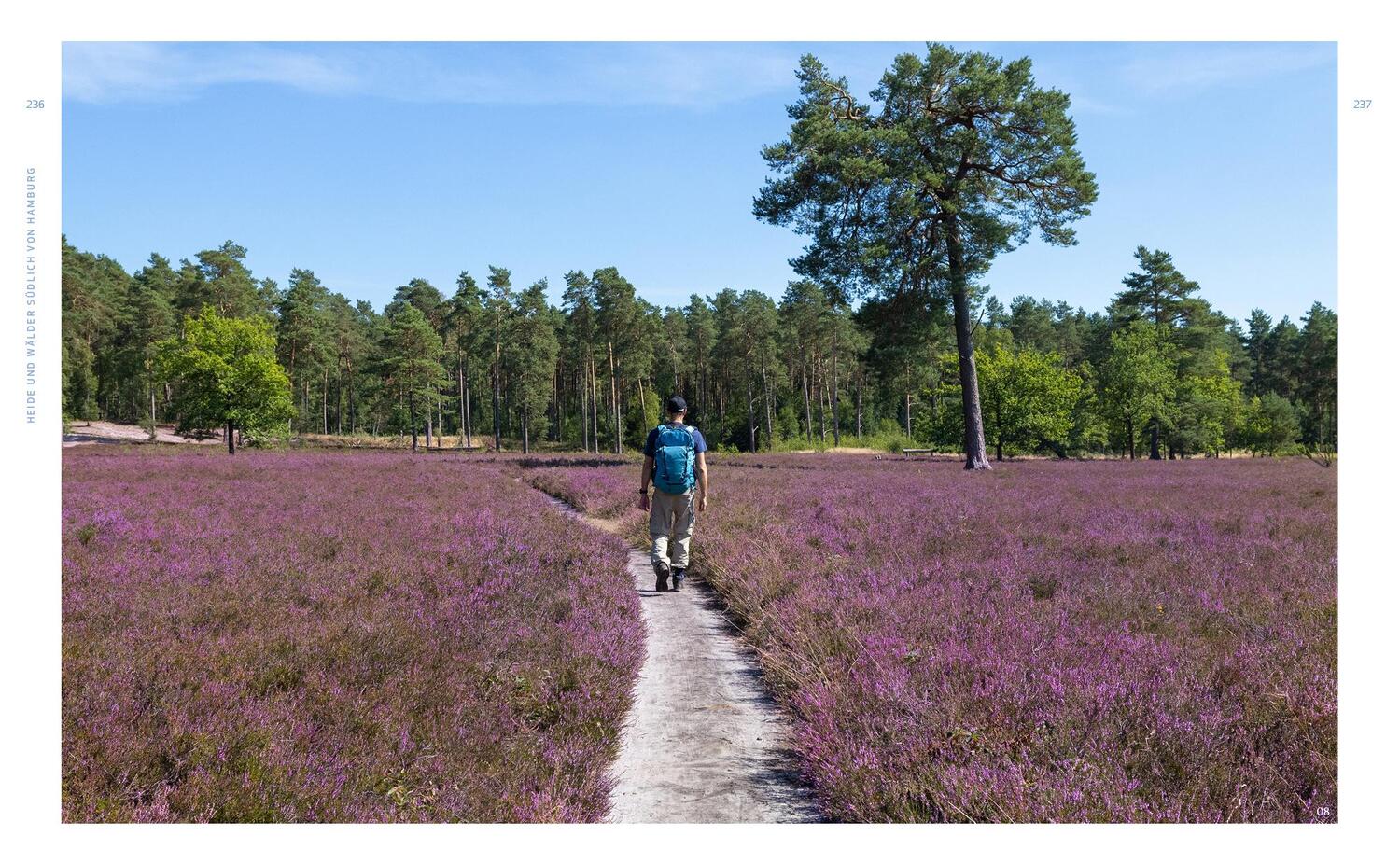 Bild: 9783942048927 | Wild Guide Hamburg &amp; der Nordwesten | Nehrhoff von Holderberg Björn