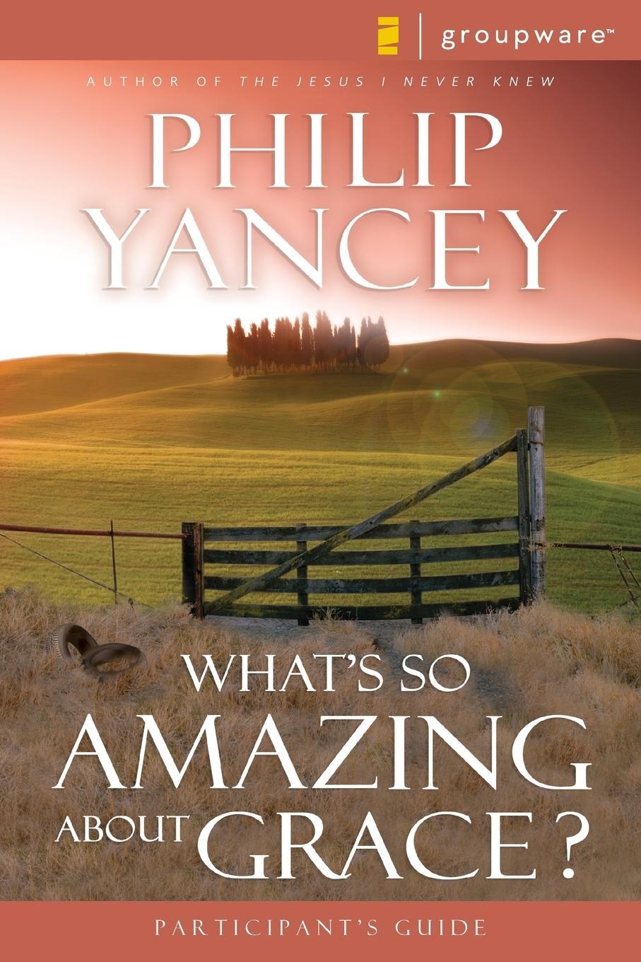 Cover: 9780310233251 | What's So Amazing About Grace? | Philip Yancey | Taschenbuch | 2000