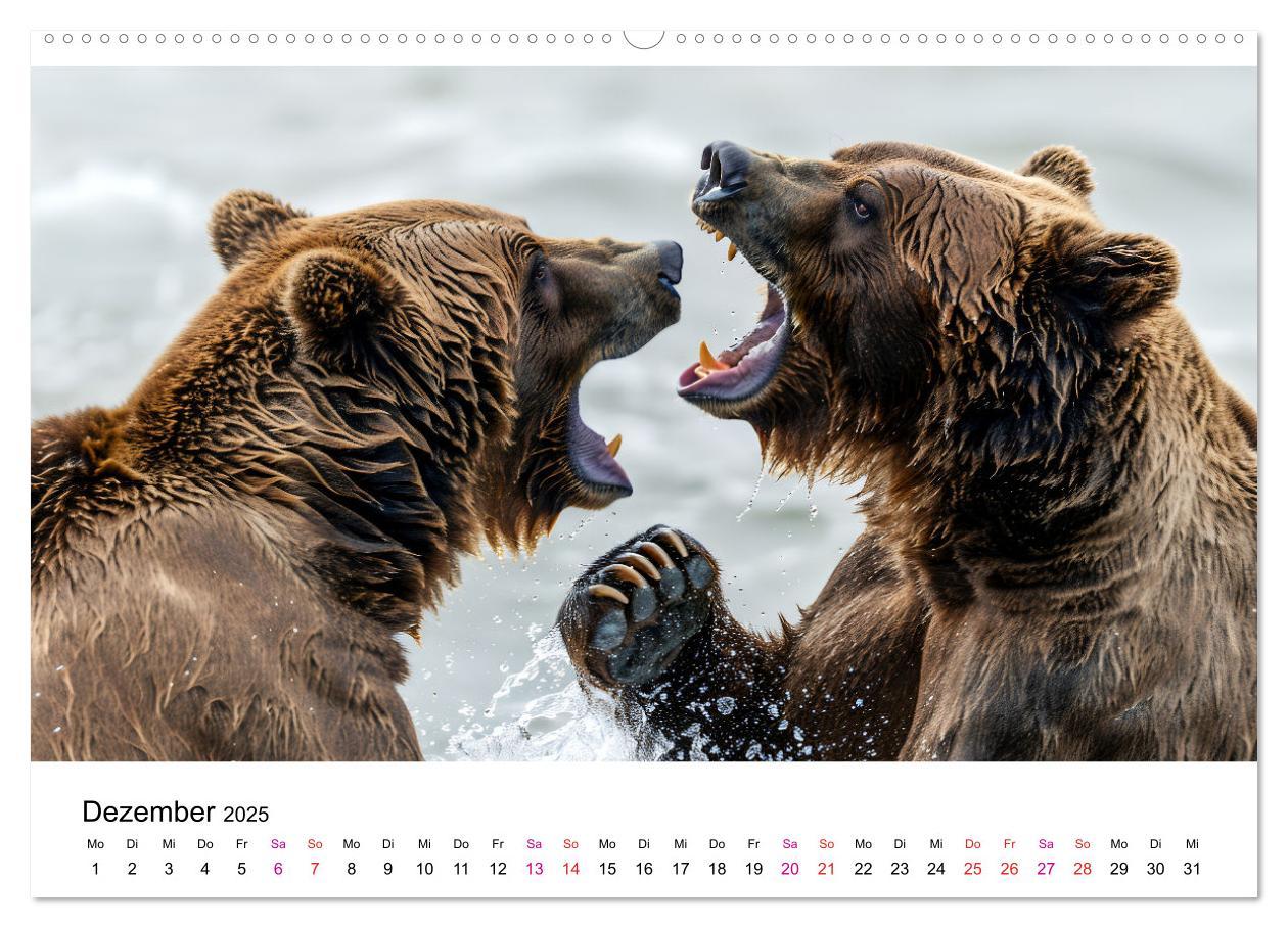 Bild: 9783457170472 | Bären - gefährlich nett (hochwertiger Premium Wandkalender 2025 DIN...