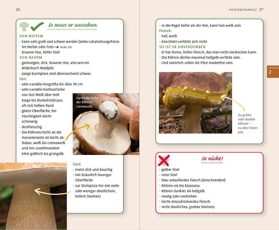 Bild: 9783818614546 | 10 Pilze | Die sichersten Arten finden und bestimmen | Taschenbuch