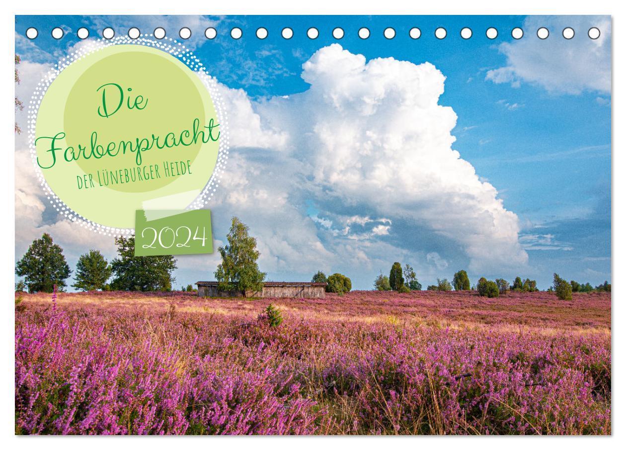 Cover: 9783675619661 | Die Farbenpracht der Lüneburger Heide (Tischkalender 2024 DIN A5...