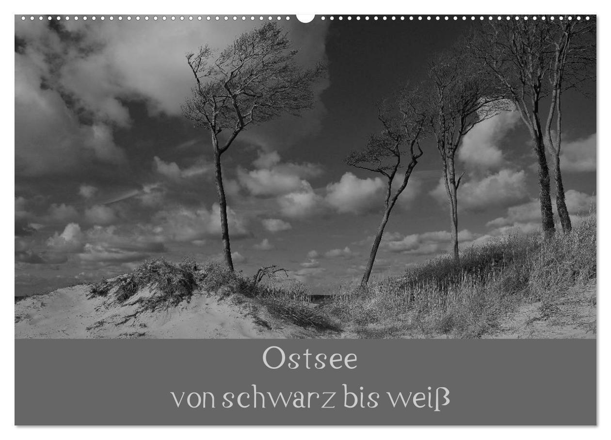 Cover: 9783383624544 | Ostsee - von schwarz bis weiß (Wandkalender 2024 DIN A2 quer),...