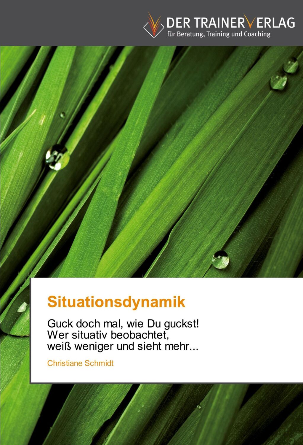 Cover: 9783841750105 | Situationsdynamik | Christiane Schmidt | Taschenbuch | Paperback