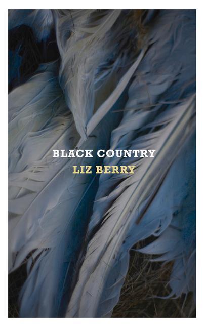 Cover: 9780701188573 | Black Country | Liz Berry | Taschenbuch | Kartoniert / Broschiert