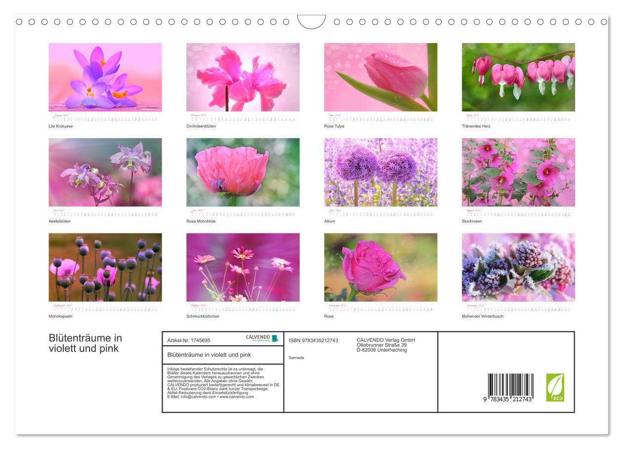 Bild: 9783435212743 | Blütenträume in violett und pink (Wandkalender 2025 DIN A3 quer),...