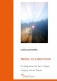 Cover: 9783868507911 | Sterben ins Leben hinein | Diana Sommerfeld | Taschenbuch | Paperback