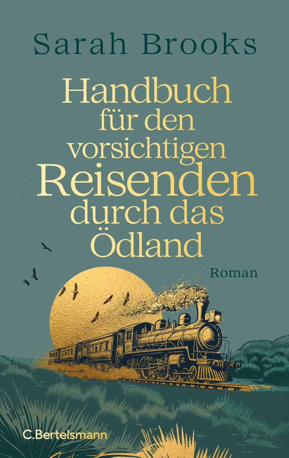 Cover: 9783570105009 | Handbuch für den vorsichtigen Reisenden durch das Ödland | Roman