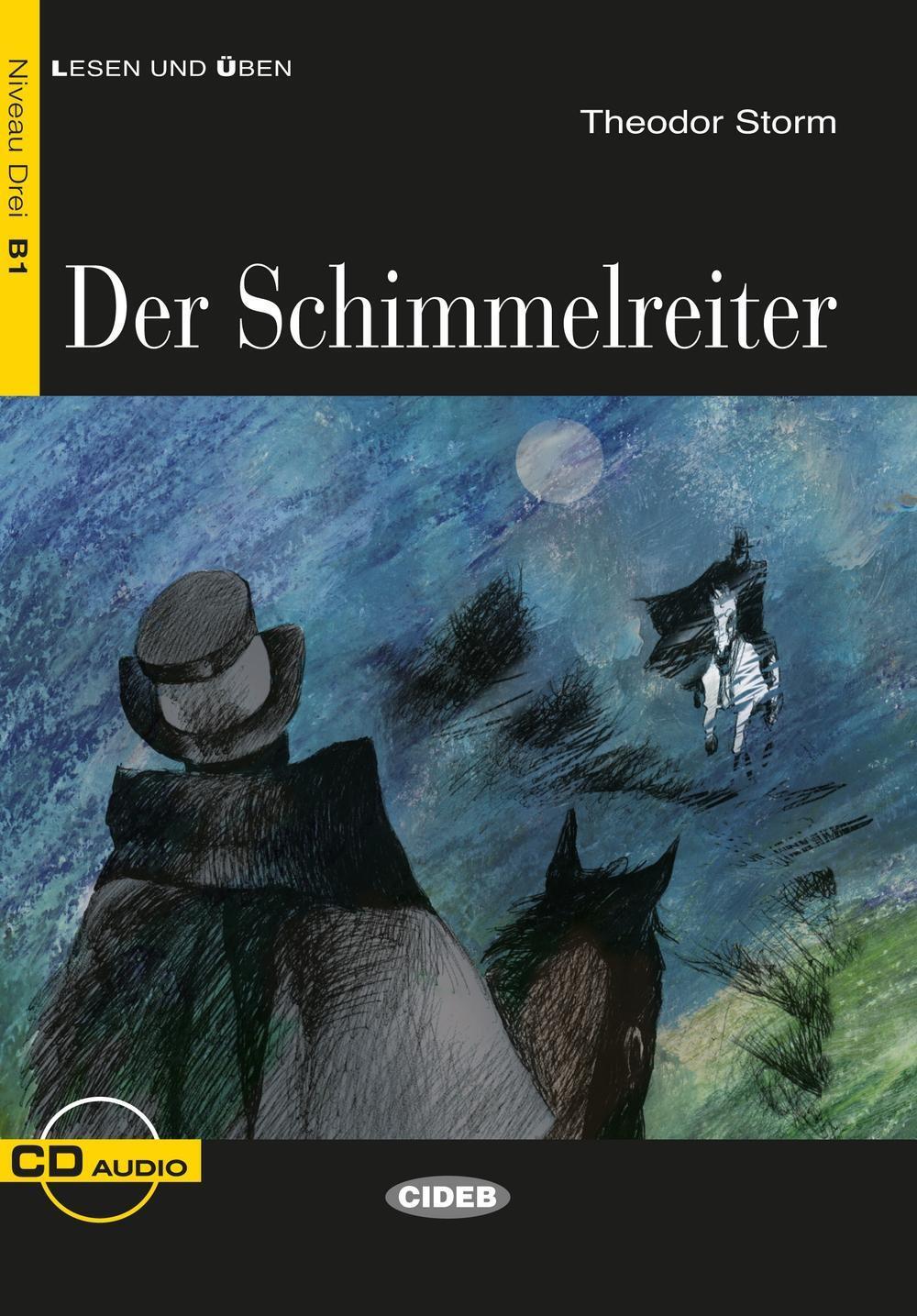 Cover: 9783125560260 | Der Schimmelreiter | Dramatische Erzählung. Niveau 3, B1 | Storm