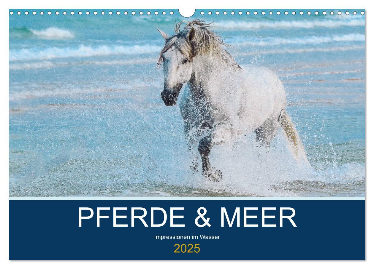 Cover: 9783435215614 | PFERDE &amp; MEER (Wandkalender 2025 DIN A3 quer), CALVENDO Monatskalender