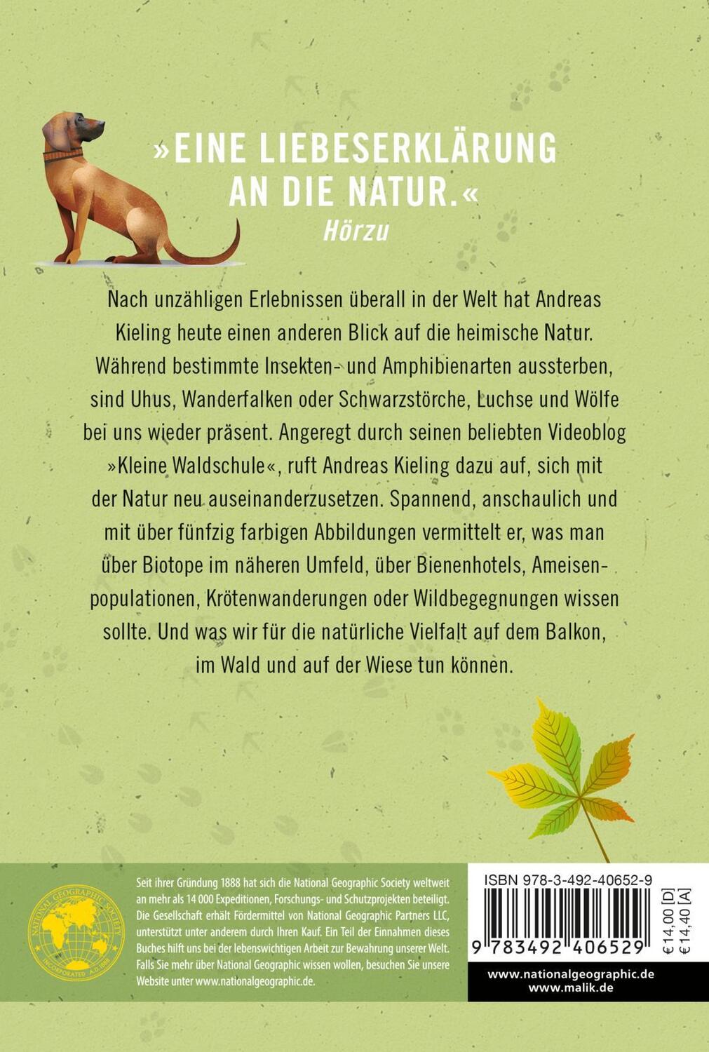 Rückseite: 9783492406529 | Kielings kleine Waldschule | Andreas Kieling | Taschenbuch | Deutsch
