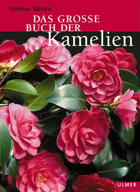 Cover: 9783800141456 | Das grosse Buch der Kamelien | Andreas Bärtels | Buch | 170 S. | 2003