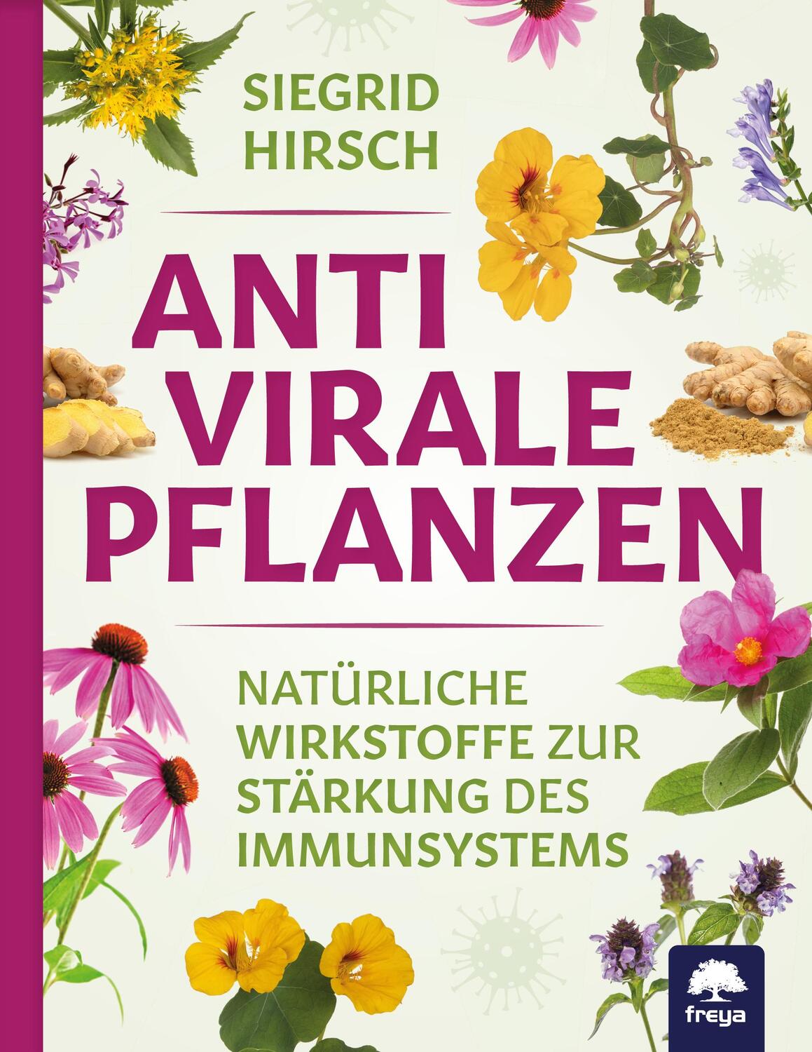 Cover: 9783990254165 | Antivirale Pflanzen | Siegrid Hirsch | Buch | Deutsch | 2021