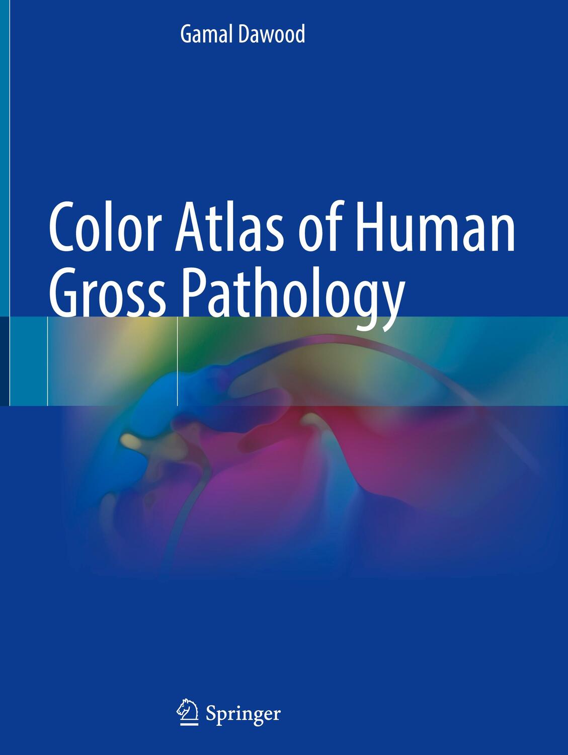 Cover: 9783030913144 | Color Atlas of Human Gross Pathology | Gamal Dawood | Buch | XIII