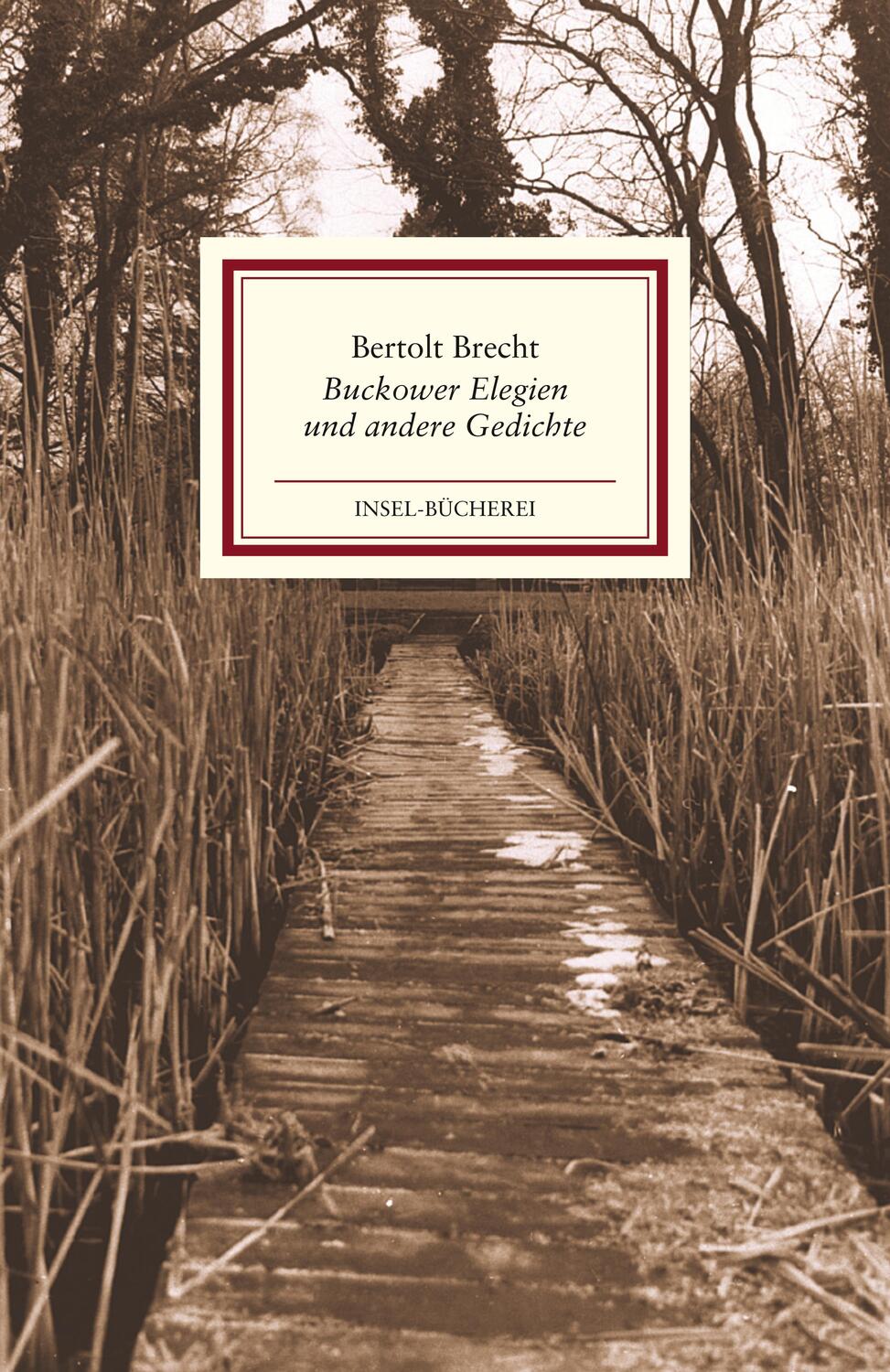 Cover: 9783458177319 | Buckower Elegien und andere Gedichte | Bertolt Brecht | Buch | Deutsch