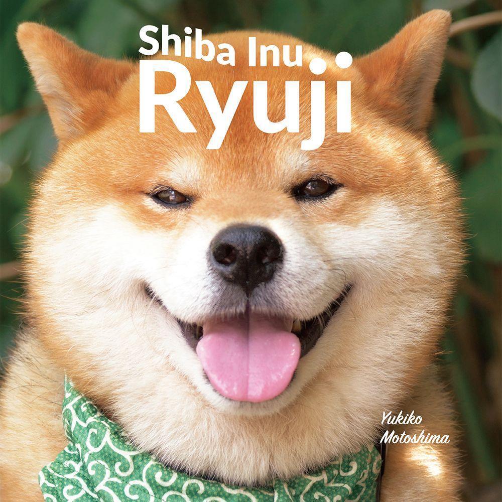 Cover: 9784756253798 | Shiba Inu Ryuji | Yukiko Motoshima | Buch | Englisch | 2020