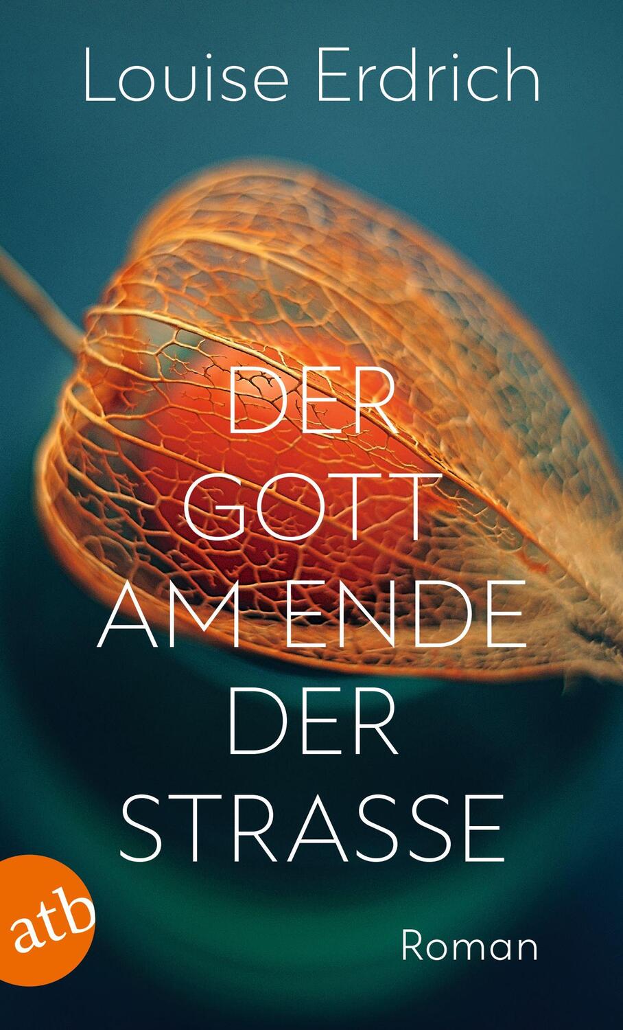 Cover: 9783746638027 | Der Gott am Ende der Straße | Roman | Louise Erdrich | Taschenbuch