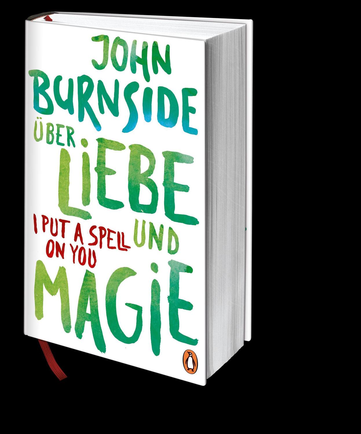 Bild: 9783328600893 | Über Liebe und Magie - I Put a Spell on You | John Burnside | Buch