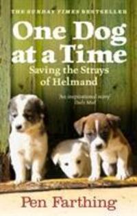 Cover: 9780091928810 | One Dog at a Time | Pen Farthing | Taschenbuch | Englisch | 2010