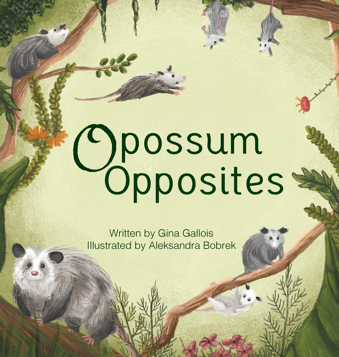 Cover: 9781734542462 | Opossum Opposites | Gina E Gallois | Buch | Englisch | 2020