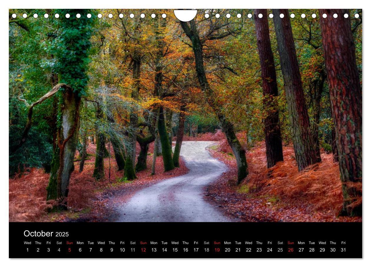 Bild: 9781325951833 | New Forest Hampshire (Wall Calendar 2025 DIN A4 landscape),...