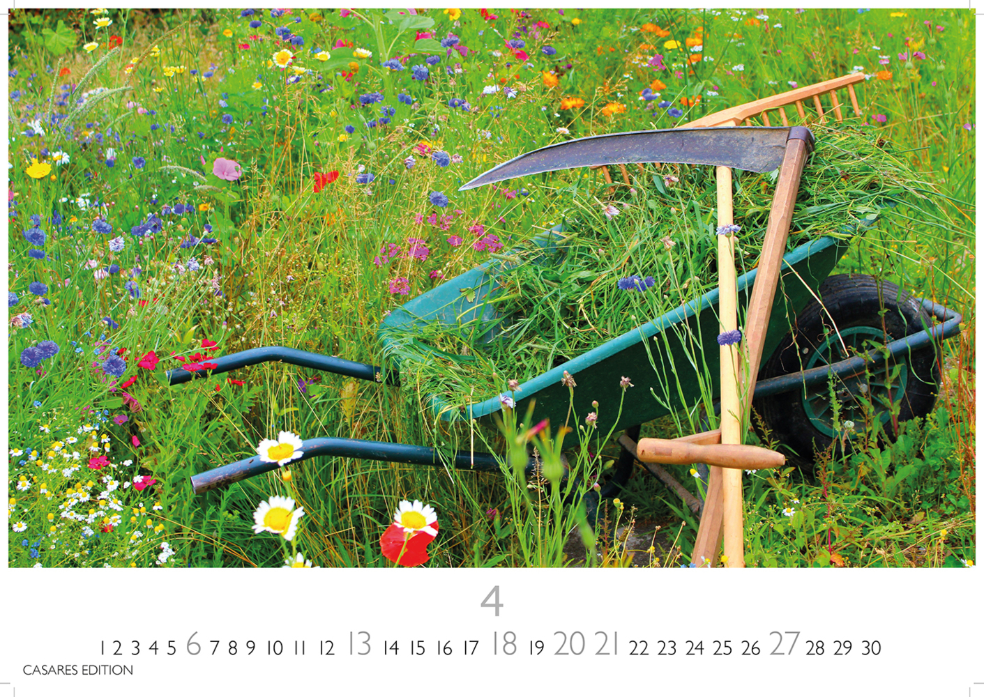 Bild: 9781835242193 | Blumenwiese 2025 S 24x35cm | Kalender | 14 S. | Deutsch | 2025