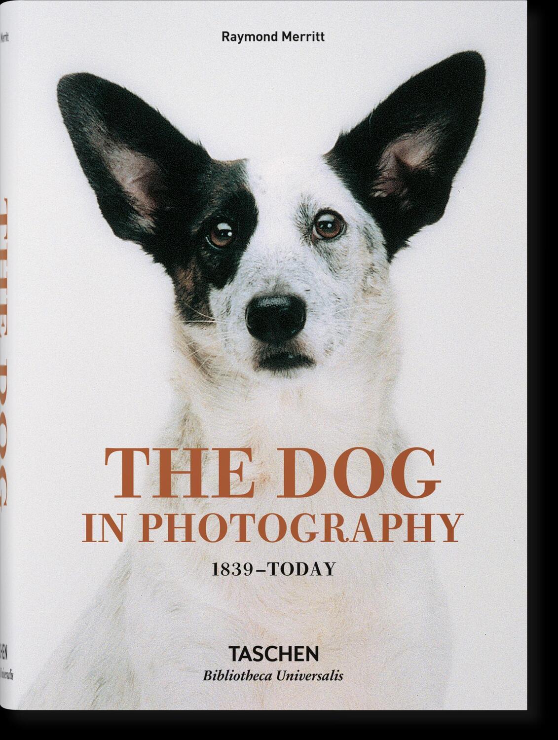 Cover: 9783836567473 | The Dog in Photography 1839-Today | Raymond Merritt | Buch | Hardcover