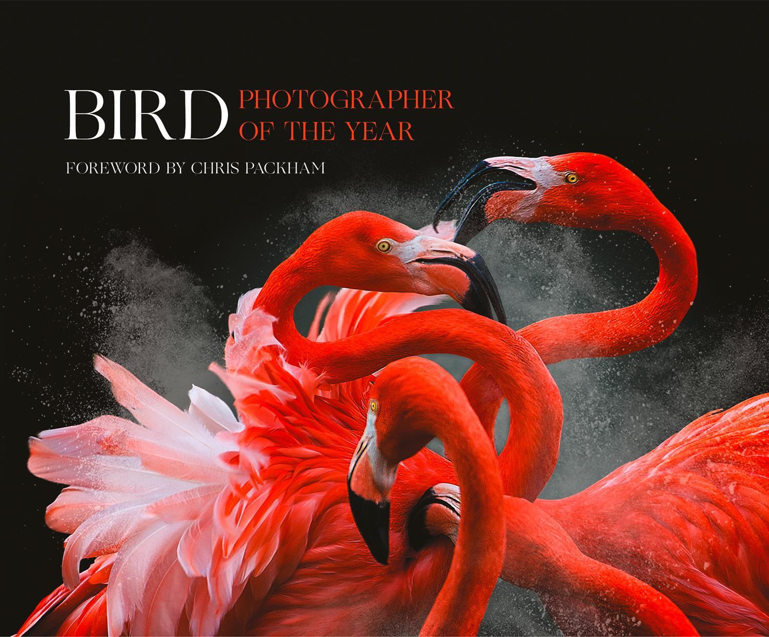 Cover: 9780008293628 | Bird Photographer of the Year | Collection 3 | Year | Buch | Gebunden