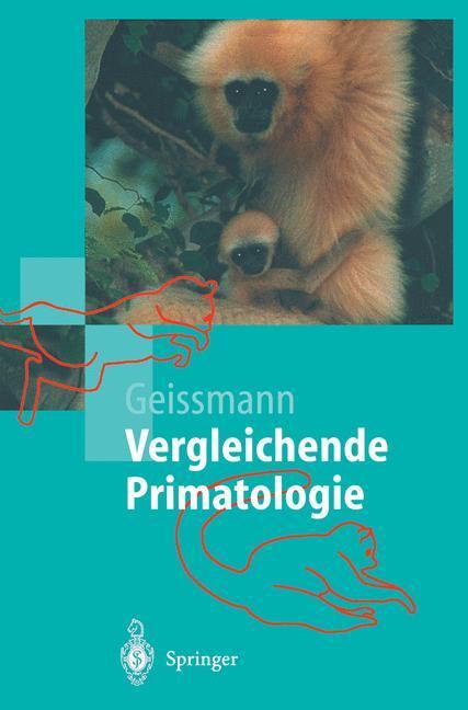 Cover: 9783642628429 | Vergleichende Primatologie | Thomas Geissmann | Taschenbuch | Springer