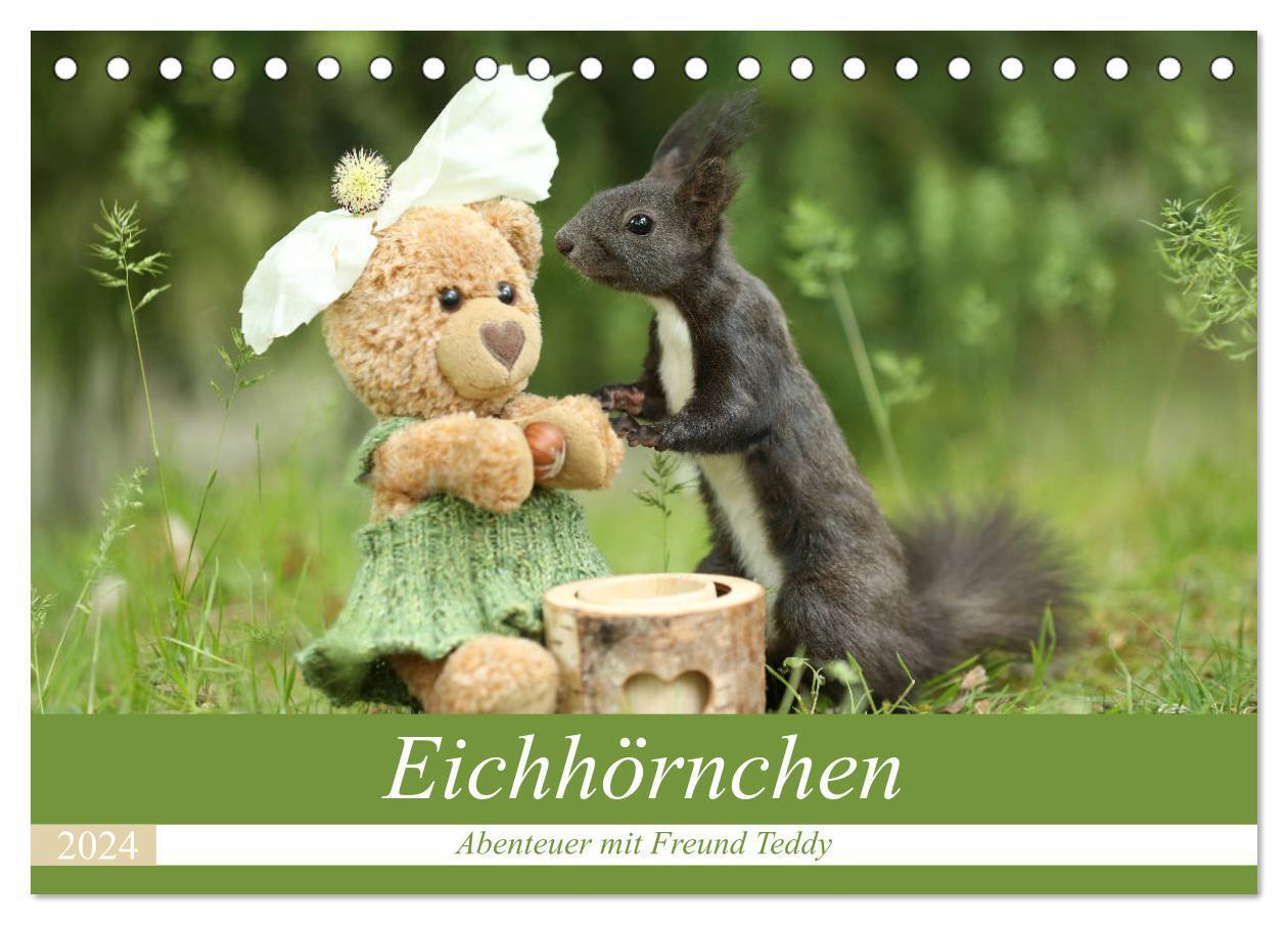 Cover: 9783675851276 | Eichhörnchen - Abenteuer mit Freund Teddy (Tischkalender 2024 DIN...
