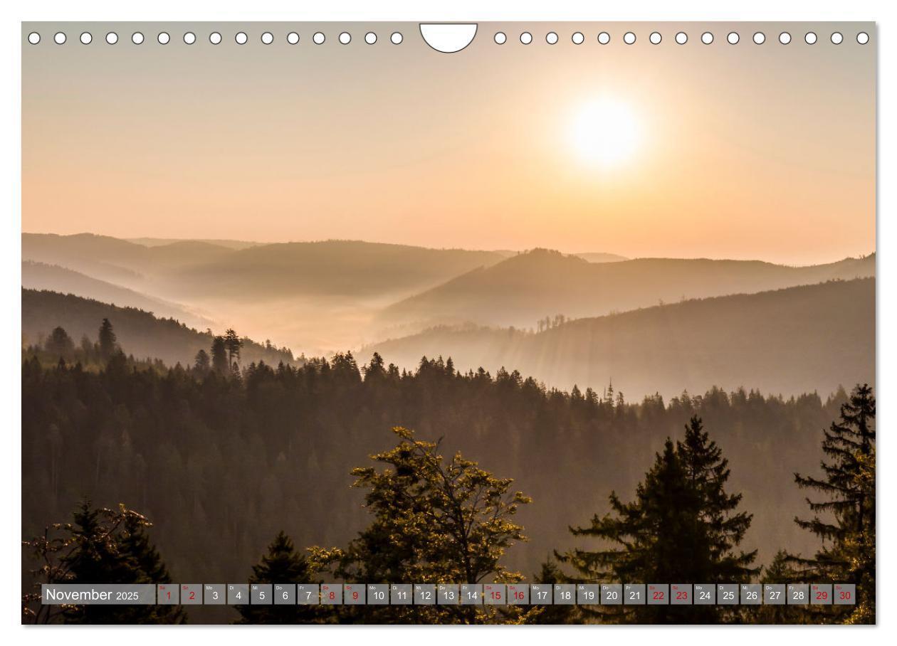 Bild: 9783435077090 | Ein Jahr im Schwarzwald (Wandkalender 2025 DIN A4 quer), CALVENDO...