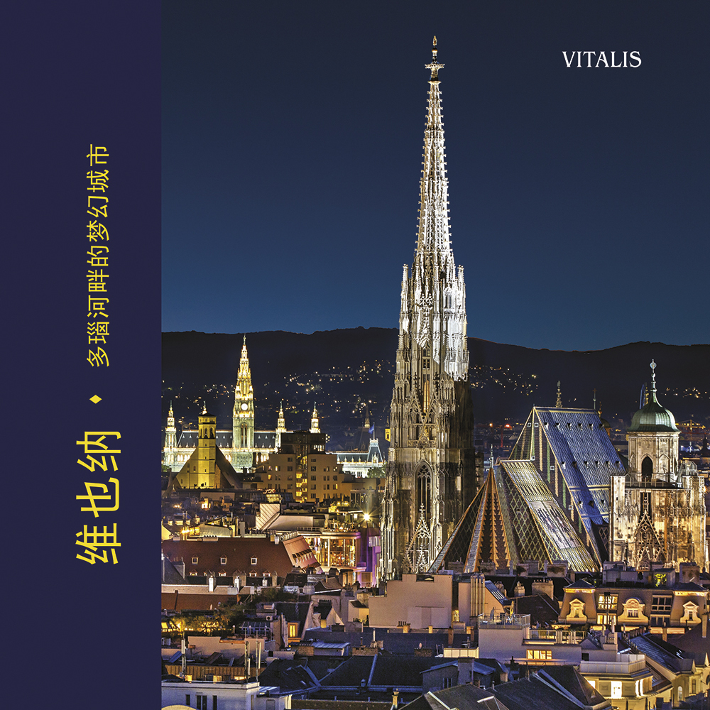 Cover: 9783899192278 | Wien | Traumstadt an der Donau | Harald Salfellner | Buch | Chinesisch