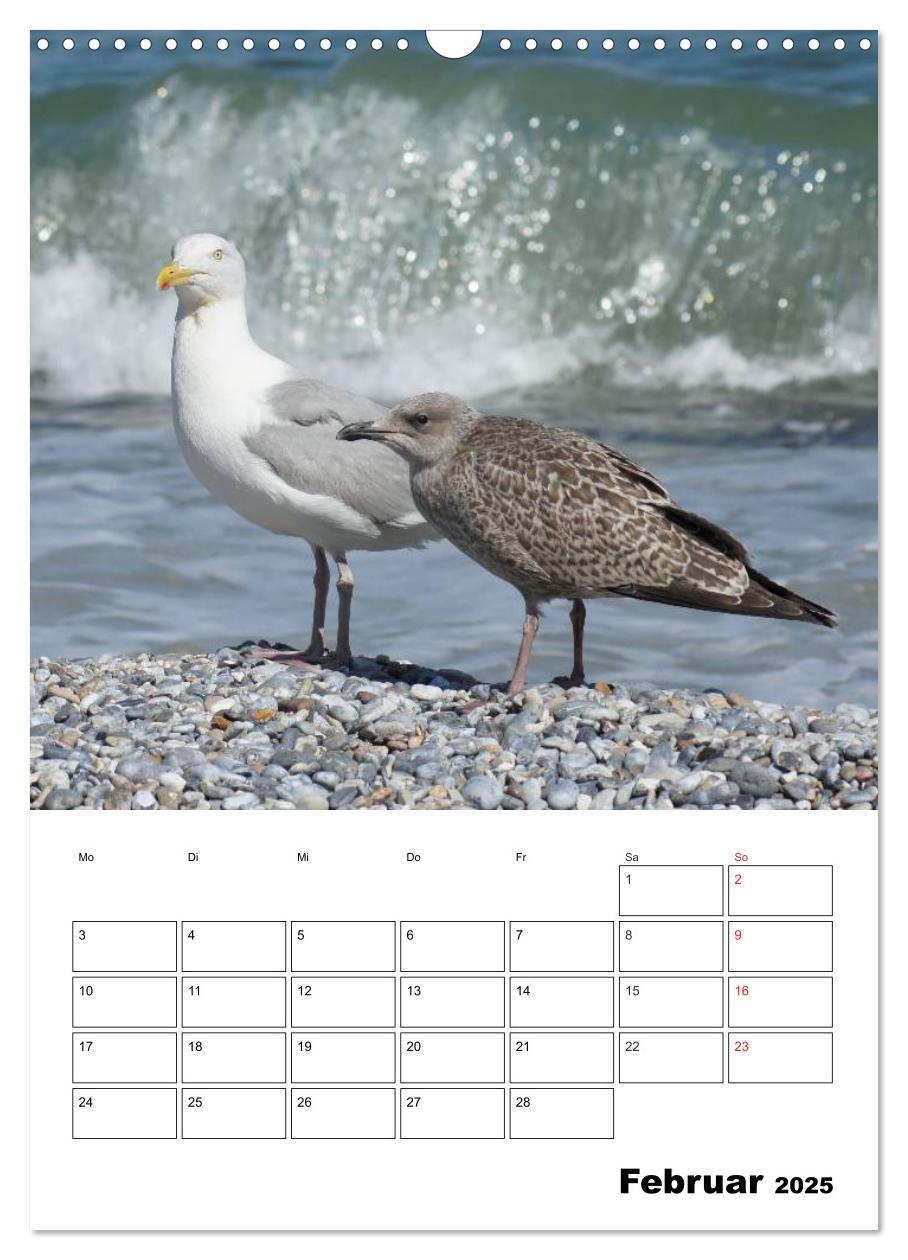 Bild: 9783457008584 | Einzigartige Insel Helgoland (Wandkalender 2025 DIN A3 hoch),...