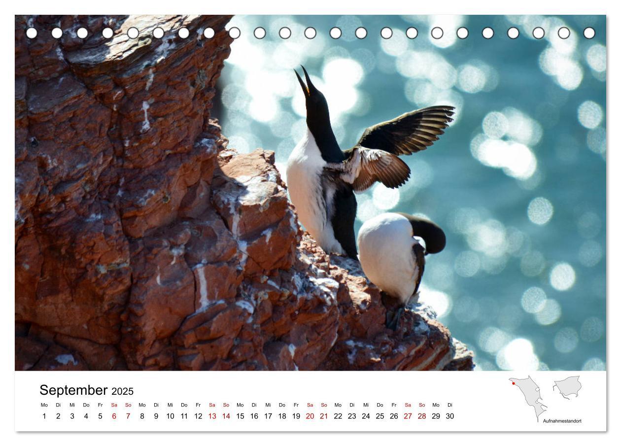 Bild: 9783435389254 | Mitreisekalender 2025 Helgoland (Tischkalender 2025 DIN A5 quer),...