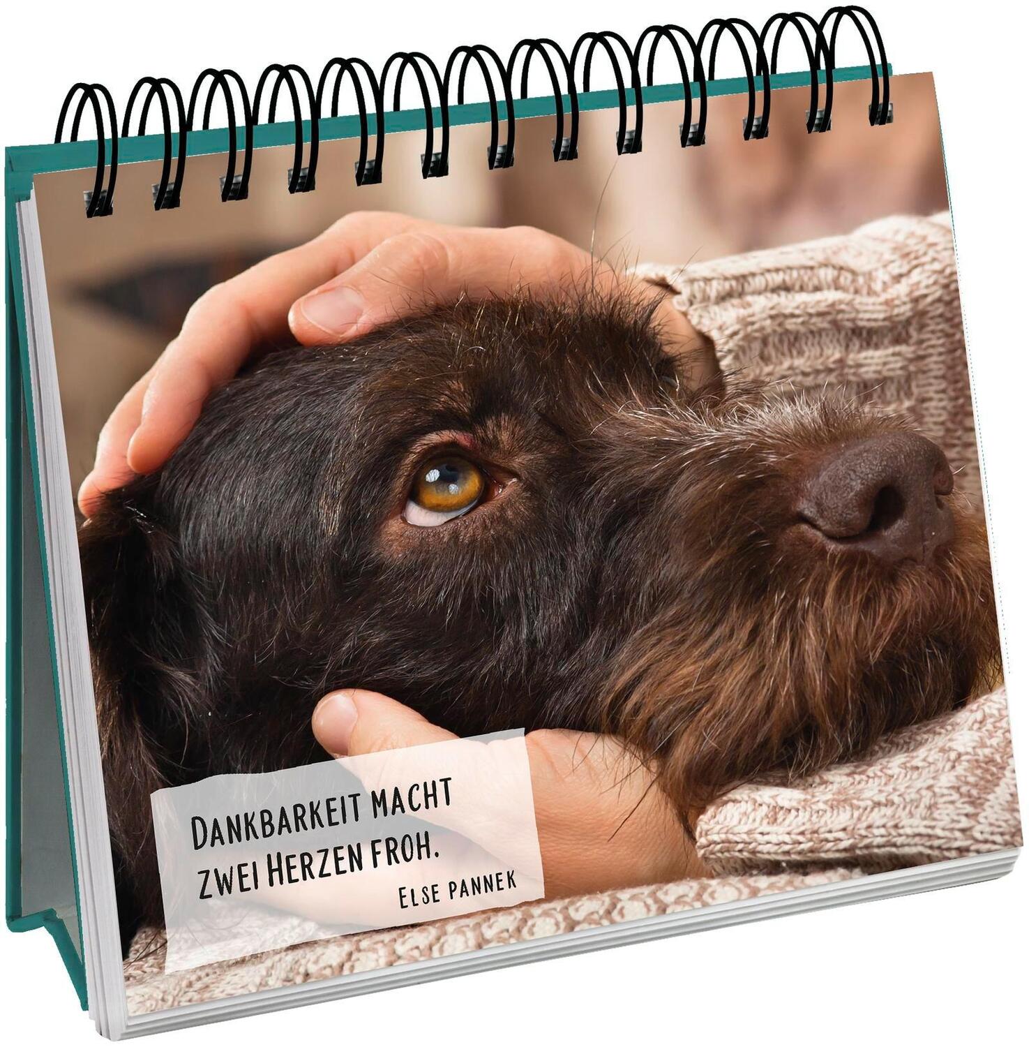 Bild: 9783848500482 | Für Hundefreunde | Groh Verlag | Taschenbuch | 144 S. | Deutsch | 2021